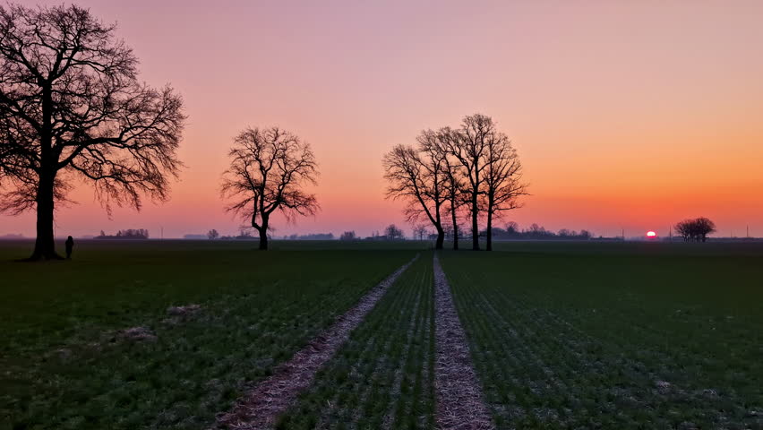 Sunset over peaceful field in Jelgava, Latvia, creating serene atmosphere