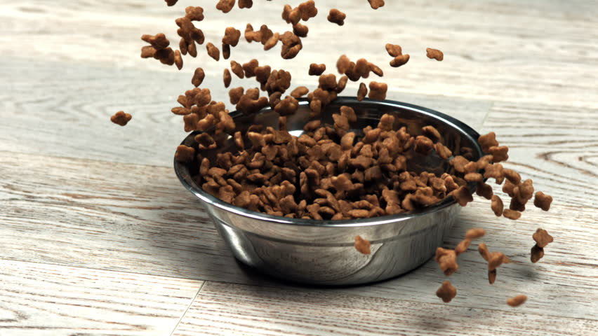 A bowl of dog food falls to the floor. Filmed on a high-speed camera at 1000 fps. High quality FullHD footage