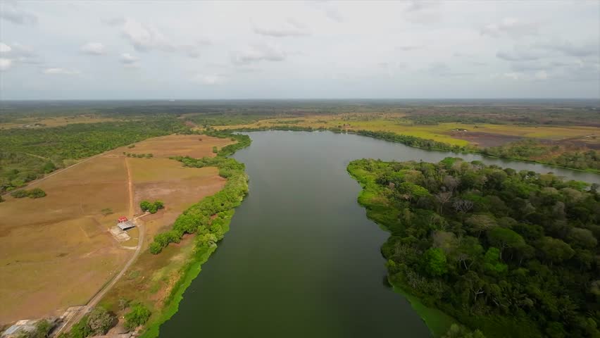 Drone view of lush lagoon with farms and trees in Monagas, Venezuela
