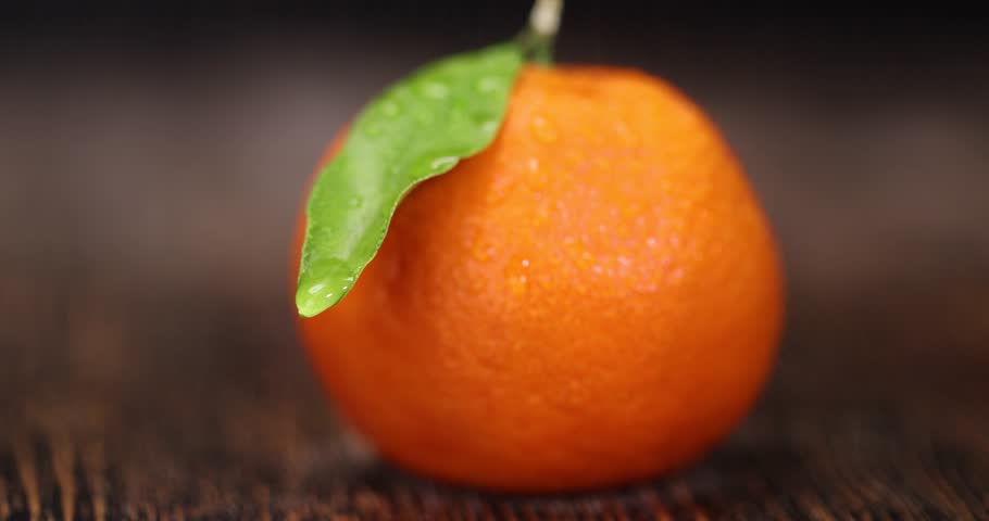 wet ripe orange tangerine with one green leaf, fruit on a wooden table, unpeeled ripe with orange peel, a small tangerine with a long green leaf covered with drops of water
