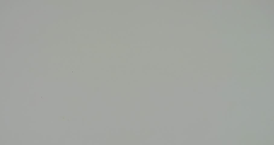 Minimalist plate and pill symbolizing modern medicine as daily nourishment