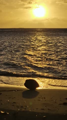 French Polynesia, Vertical View of Golden Hour Above Beach With Coconut and Sea Waves
