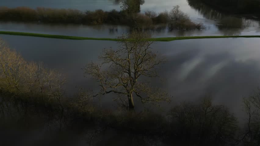 Aerial drone orbits around a winter bare tree surrounded by flooded rivers from the River Derwent to reveal bright sun over the A64 bypass and countryside landscape