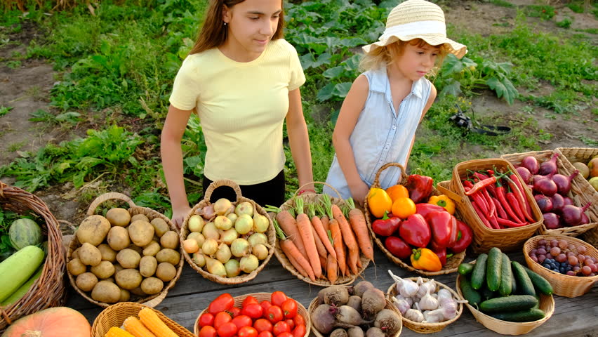 Family at a farmers market with vegetables. Selective focus.