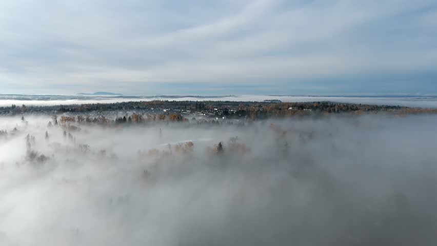 Langley, Canada - A Blanket of Fog Drifts Over the Trees While the Distant Townline Emerges Beneath the Soft Morning Sky - Aerial Drone Shot