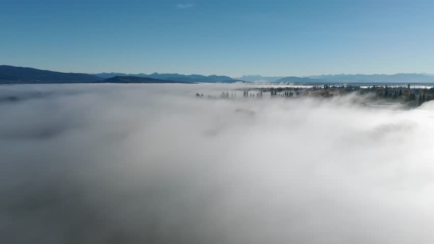 Heavy Fog At Sunrise Over Langley, British Columbia, Canada. Aerial Drone Shot