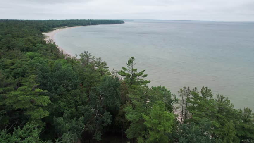Nosedive drone shot over trees and towards beach.  Northern Door County Wisconsin in the summer time.  Lake Michigan waves lap against the shoreline.
