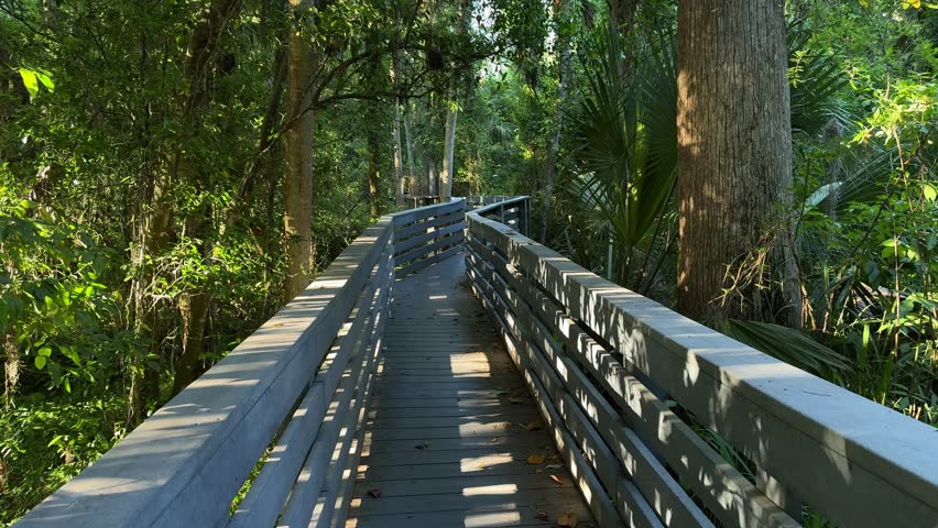 A wooden boardwalk winds through a lush green forest in Florida. Sunlight and shadows fall across the quiet nature trail surrounded by dense foliage.