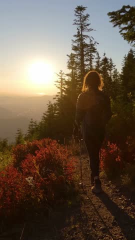 Solo Hike Through a Scenic Mountain Forest at Sunset in Chilliwack, British Columbia, Canada