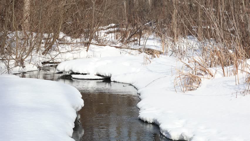 Video of a country stream flowing through the snow in a remote woodland setting