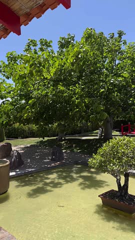 A peaceful garden scene featuring vibrant red wooden bridges crossing a shallow pond bordered by smooth stones and gravel beds. Carefully trimmed trees and shrubs frame the landscape, guiding the eye toward traditional structures nestled in the background. The clear sky and balanced layout create a harmonious atmosphere where water, stone, and greenery coexist in calm visual rhythm.