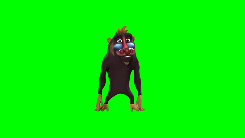 Title: 3D Monkey Scratching Head Confused Thinking Gesture Green Screen

Professional three dimensional monkey performing head scratching motion expressing confusion curiosity doubt hesitation uncertainty contemplation problem solving reaction moment concept designed for advertising presentation education marketing explainer commercial promotion social media editing template overlay background removal chroma key production advertising workflow business communication storytelling visual message placement motion graphic usage advertisement scene design branding content creation stock footage application transparent backdrop compositing project flexibility isolated subject usage clarity focus attention engagement scenario representation decision moment visualization
