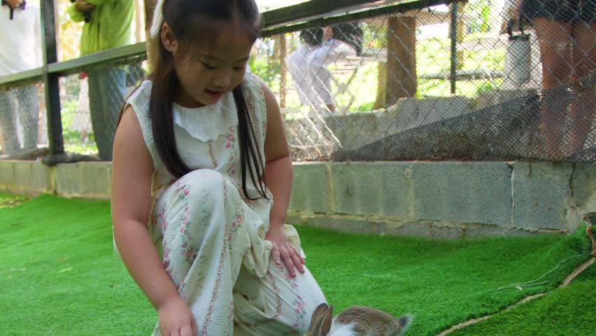 A young girl crouches on artificial grass, feeding small rabbits from a metal bowl