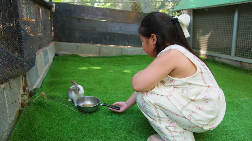 A young girl crouches on artificial grass, holding a food bowl for a small rabbit