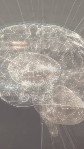 Vertical video: CG brain rotating pulsing as vertical beam aligning midline, revealing cerebellum. Translucent, illuminated, neural, network, holographic, lab, vertical video