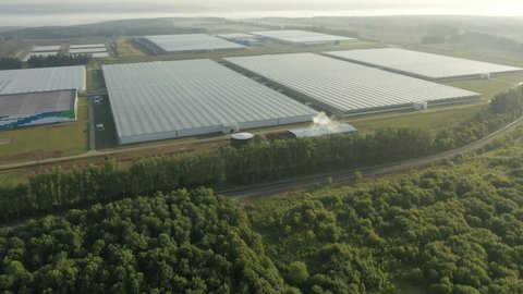 High Angle Drone View Greenhouse Complex