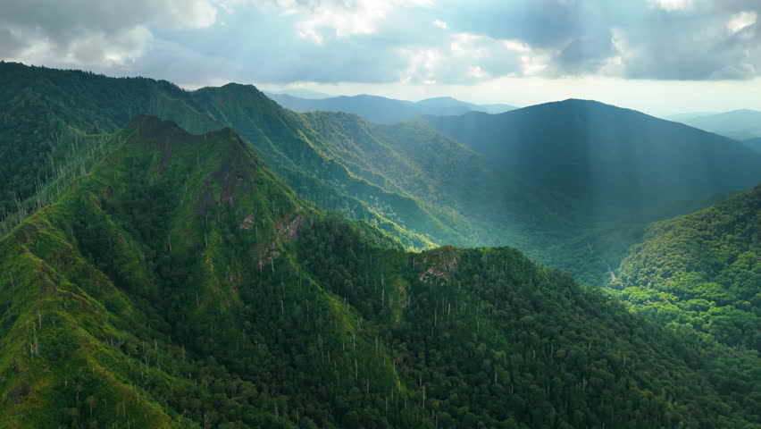 Appalachian mountains in North Carolina with fresh green forest trees in summertime season. Beauty of USA nature.