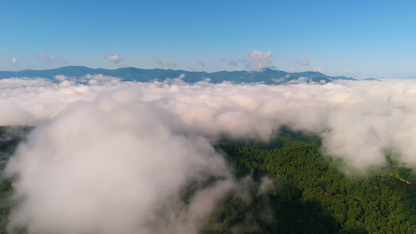 Nature landscape of Tennessee Appalachian mountains. Mountain forest with green canopies in summer rain season.