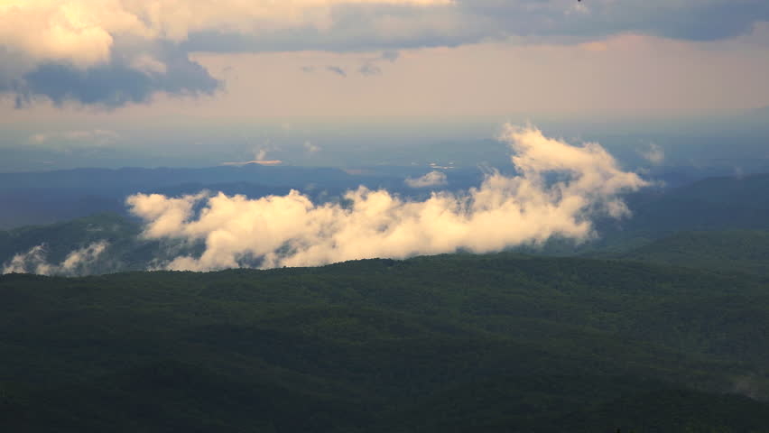 Lush forest on mountain hills in North Carolina. Summertime landscape of beautiful nature in rainy humid weather.