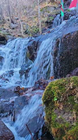 Best place for traveling Dark Hollow Falls in Shenandoah National Park, Virginia. 