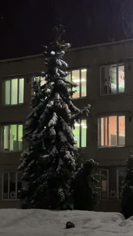 Winter Evening Snowy Tree School Children Video
