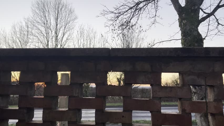 Hill with trees at the top and horses in the field. Autumn 2025 when the leaves are all off the trees.