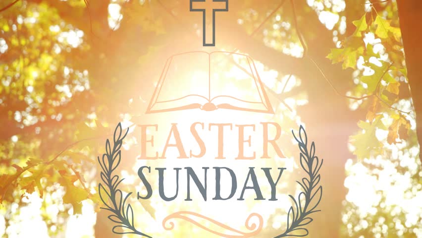 Sun flare pulsing behind leaves, translucent Easter Sunday sign centering, keeping sign legible. Cross, book, laurel, wreath, foliage, canopy, bokeh