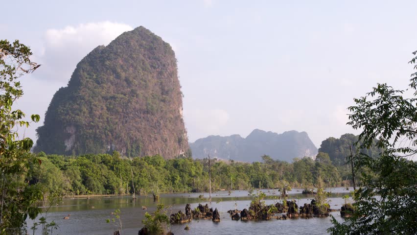 Static wide shot of a massive limestone karst mountain rising above a lush tropical swamp