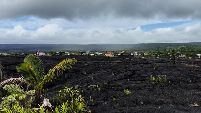 Static view of black lava fields with vegetation regrowth and houses in Kalapana