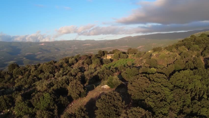 Remote mountain slope with dense forest clearing olive grove and small hut