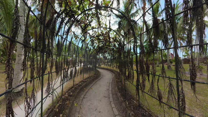 Garden tunnel walkway with hanging vines and green arch in tropical park
