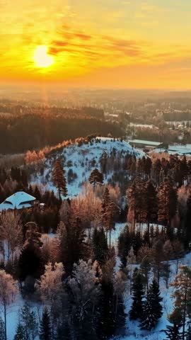 Winter forest and rural landscape with snow-covered trees and warm sunset light over countryside
