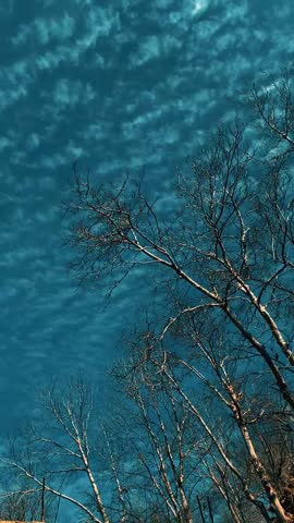 The sun shines gently behind drifting clouds, spreading a warm golden glow across the sky. The clouds move slowly, sometimes hiding the sun, sometimes letting its light peek through in bright rays. This mix of light and shadow creates a calm and peaceful scene, as if the sky itself is breathing quietly.