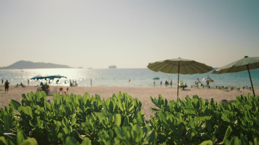 Popular tourist destination, people resting on beautiful ocean beach in summer. Panorama of amazing coastline with carefree tourists tanning on sand, weekend trip to sea, merry holidays, bright sun
