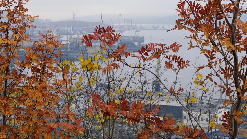 MURMANSK, RUSSIA -SEPTEMBER 23, 2024: View of the Murmansk seaport and the Kola Bay on an autumn cloudy day.