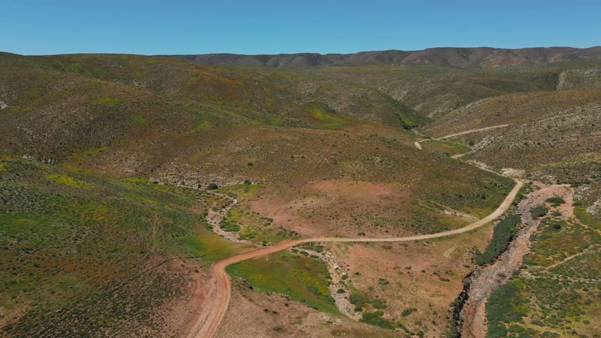 tufts of yellow and orange daisies flower among the rolling hills of the Richtersveld landscape