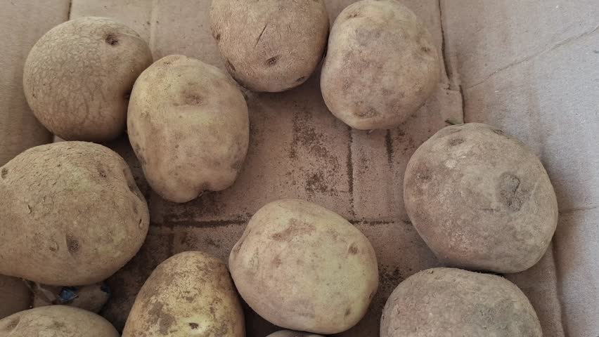  a bunch of potatoes in a basket