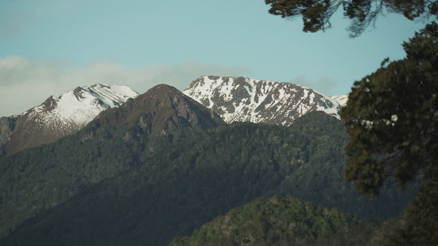 A majestic mountainscape with snow covered peaks in the New Zealand wilderness, with the leaves of a tree blowing gently in the wind.