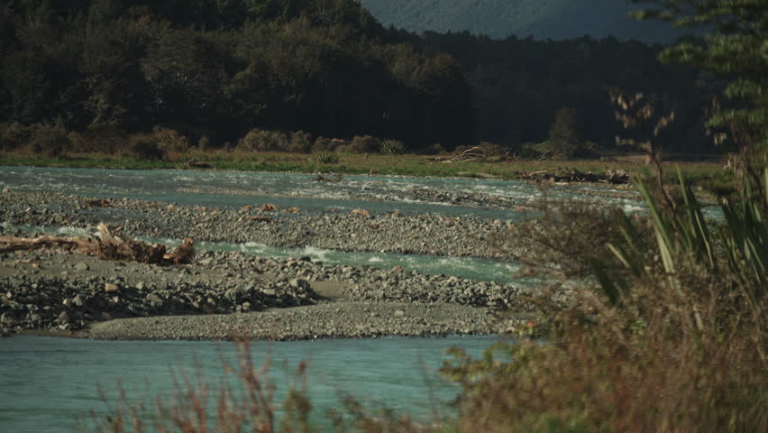 A river gushes cold water beneath a dark mountain in a New Zealand forest, with bushes in the right foreground.