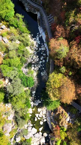 Cinematic top-down aerial drone view of Horma Canyon in Pınarbaşı Kastamonu Turkey, captured at a 90 degree angle looking straight down, featuring a wooden walking path along a narrow river flowing through steep rocky cliffs surrounded by dense green forest
