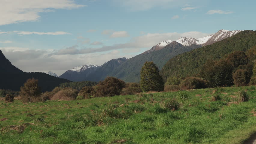 Grassy hillside beneath a snow capped New Zealand mountain landscape.