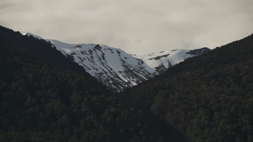 Snow capped mountain peaks emerge behind a dark New Zealand forest.
