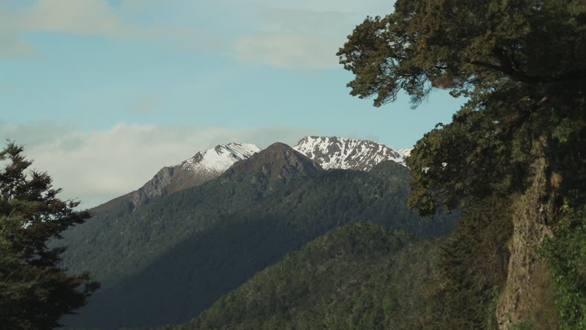 The detail of snow capped mountains in a New Zealand landscape as the leaves of a forest blow gently in the foreground.