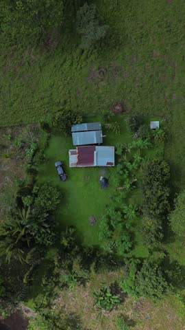 A house with a green roof sits in a lush green field