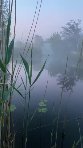foggy morning over the river