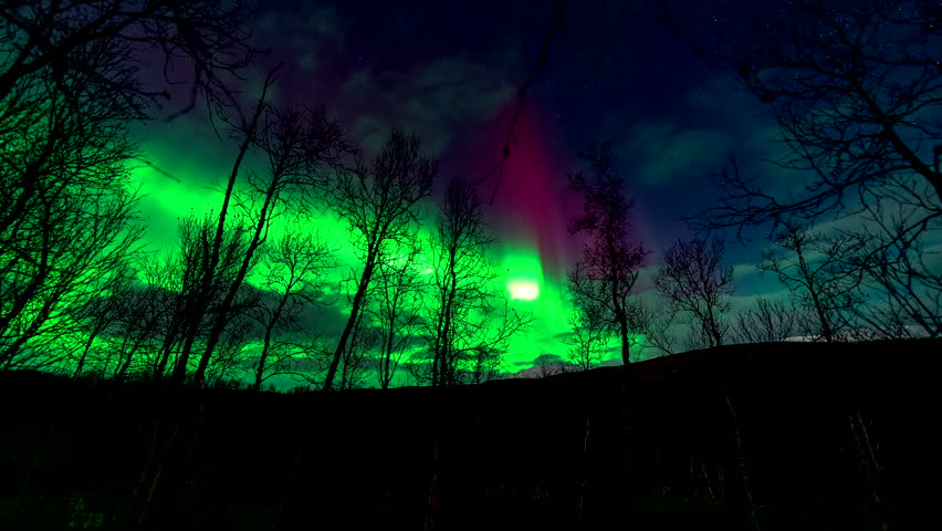 Helligskogen landscape glows as vivid green aurora lights ripple above dark forest silhouettes, backdrop