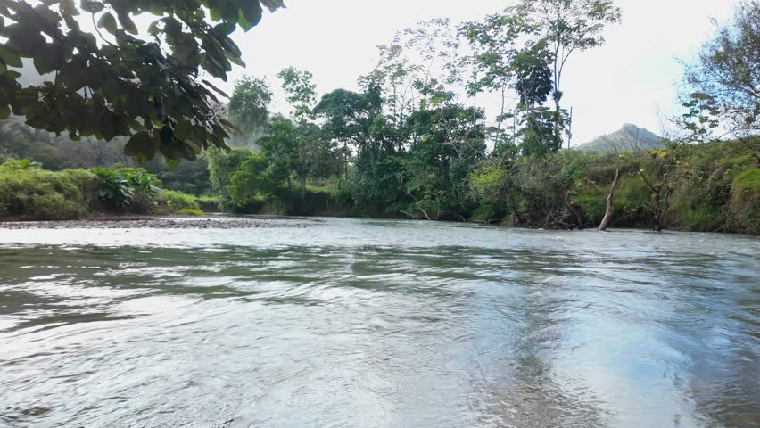 A river with a lot of trees and a cloudy sky