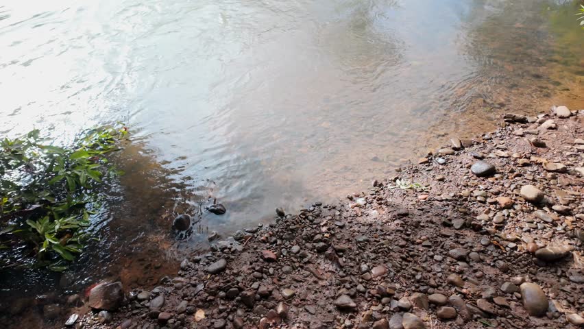 A body of water with a rocky shoreline