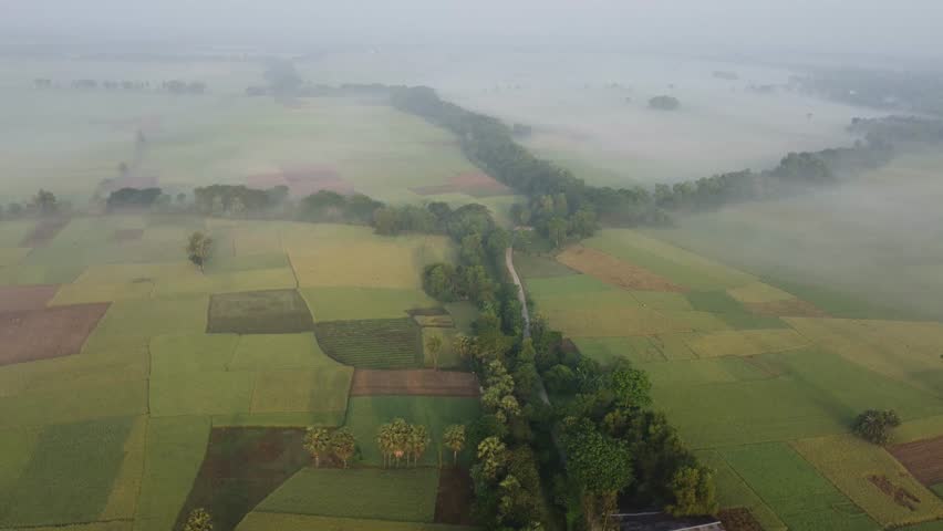 The village field is completely covered in fog. Such fog is seen in the rural areas of Bengal at the beginning of winter.
