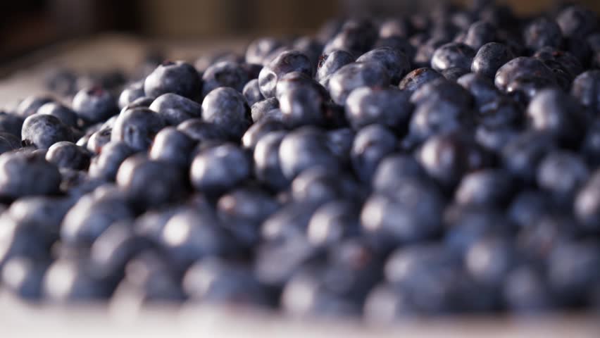 Macro close-up of fresh ripe blueberries lying on a light surface. Cinematic food shot with shallow depth of field and soft natural lighting highlights the texture and freshness of the berries. Smooth camera movement creates a calm, premium feeling. Healthy food, organic fruit, dessert ingredient concept. Full HD horizontal video.